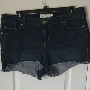 Torrid Denim Jean Shorts Dark Wash